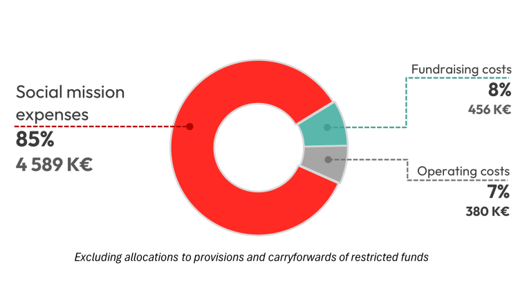 Chart showing the distribution of the Foundation's accounts for 2024